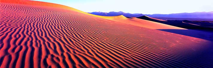 Panoramic Landscape Photography Perfect Ripples, Mesquite Flat Sand Dunes, Death Valley
